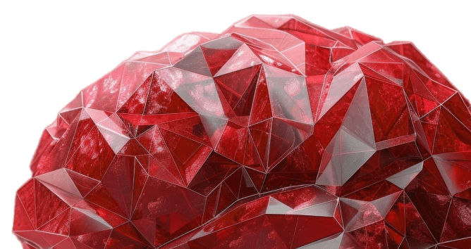 human-brain-poly-brain 2-min human-brain-poly-brain 2-min